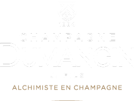 Champagne Dumangin J. Fils